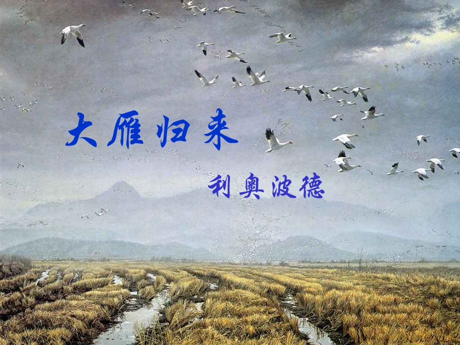 《大雁归来》课件（27页）.ppt_第3页