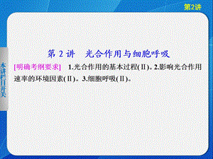 专题二、2光合作用与呼吸作用.ppt