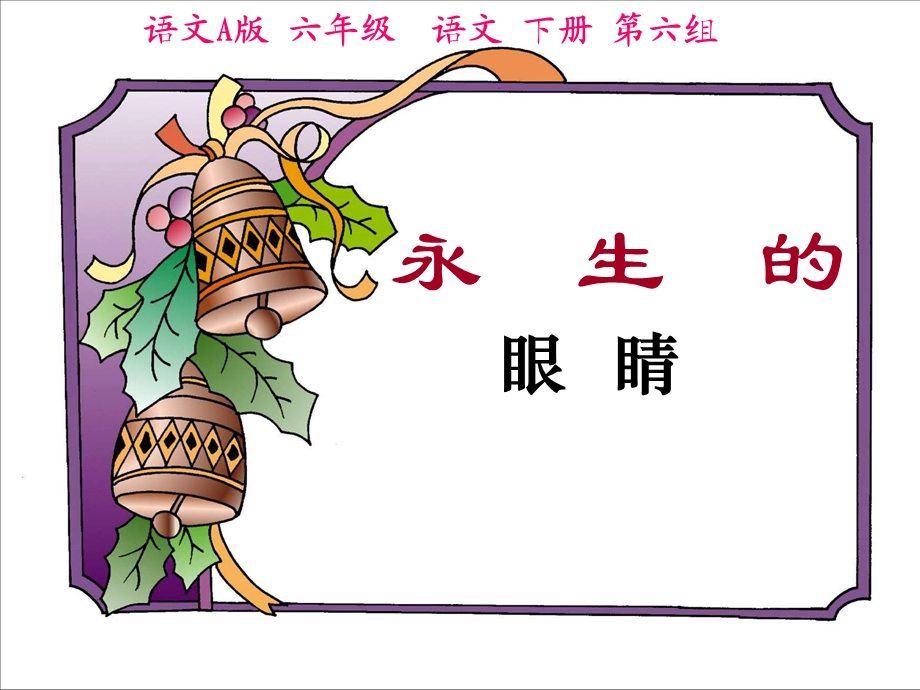 永生的眼睛 (3).ppt_第1页