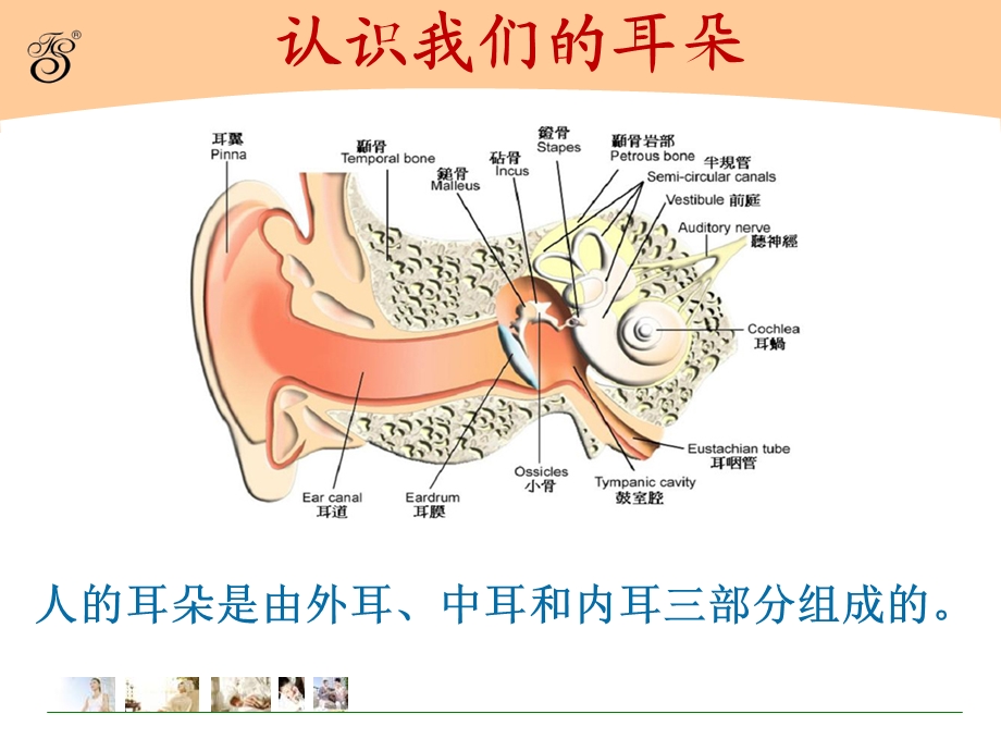 爱耳日主题班队会.ppt_第2页