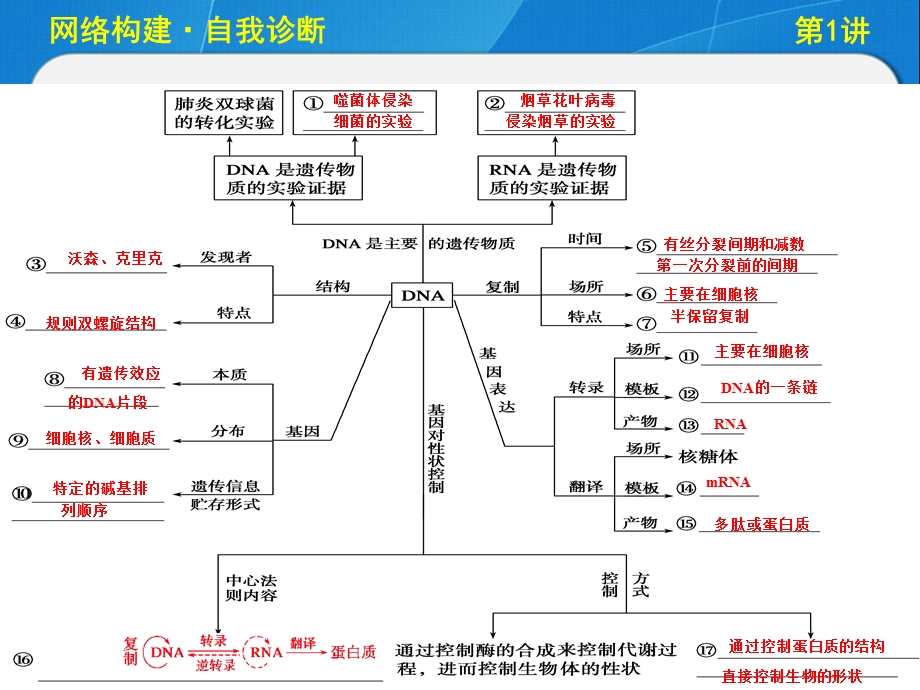 专题四、1遗传的分子基础.ppt_第3页