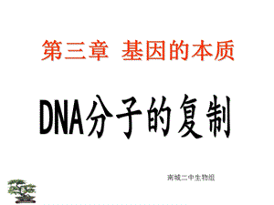 DNA分子的复制1.ppt