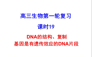 DNA的结构、复制基因是有遗传效应的DNA片段.ppt