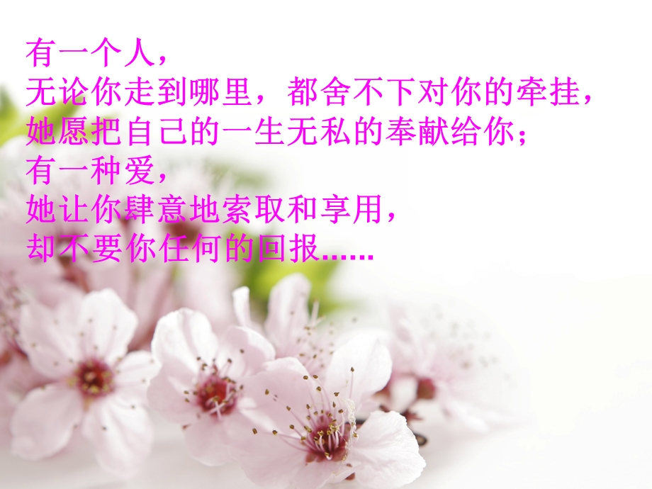 感恩母亲节_毕正永.ppt_第2页