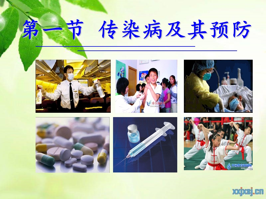 传染病及其预防 (3).ppt_第2页