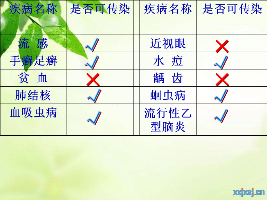 传染病及其预防 (3).ppt_第3页