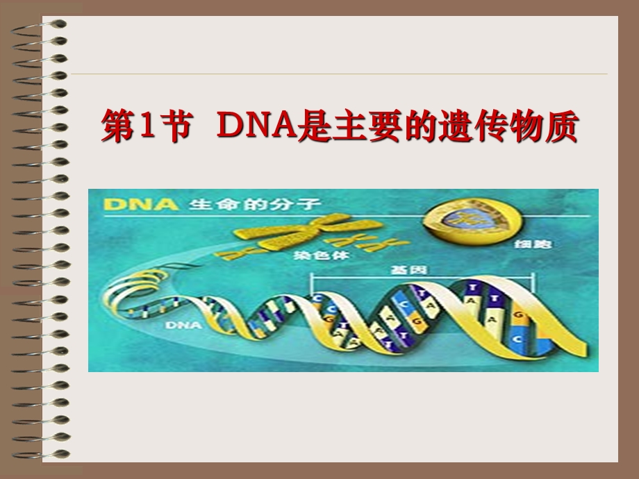 《DNA是主要的遗传物质》课件.ppt_第1页