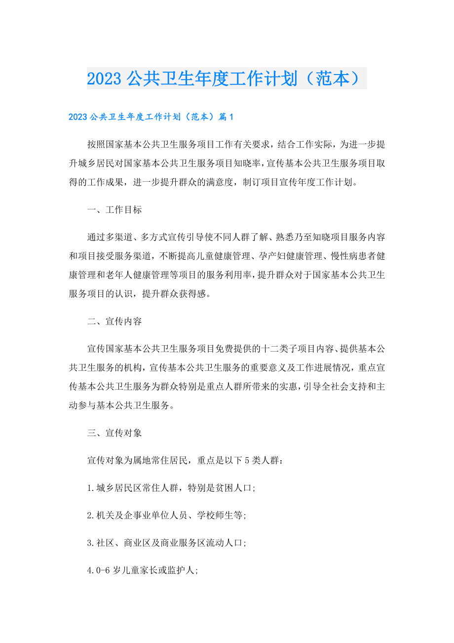 2023公共卫生工作计划（范本）.doc_第1页