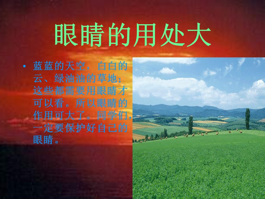 小学体育PPT课件保护眼睛.ppt_第2页