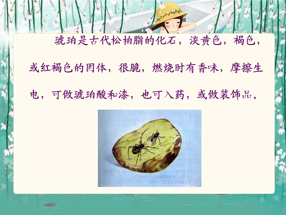 （北师大版）六年级语文下册课件奇异的琥珀4.ppt_第2页