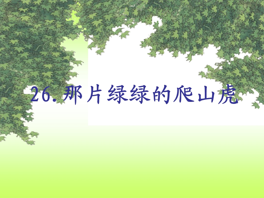 那片绿绿的爬山虎zhangruigai.ppt_第1页