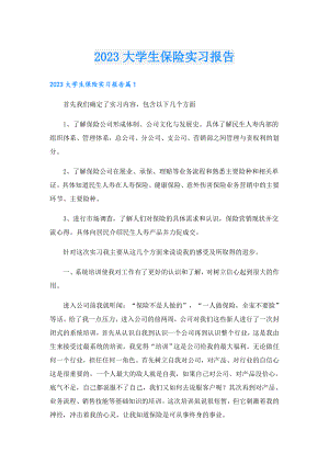 2023大学生保险实习报告.doc