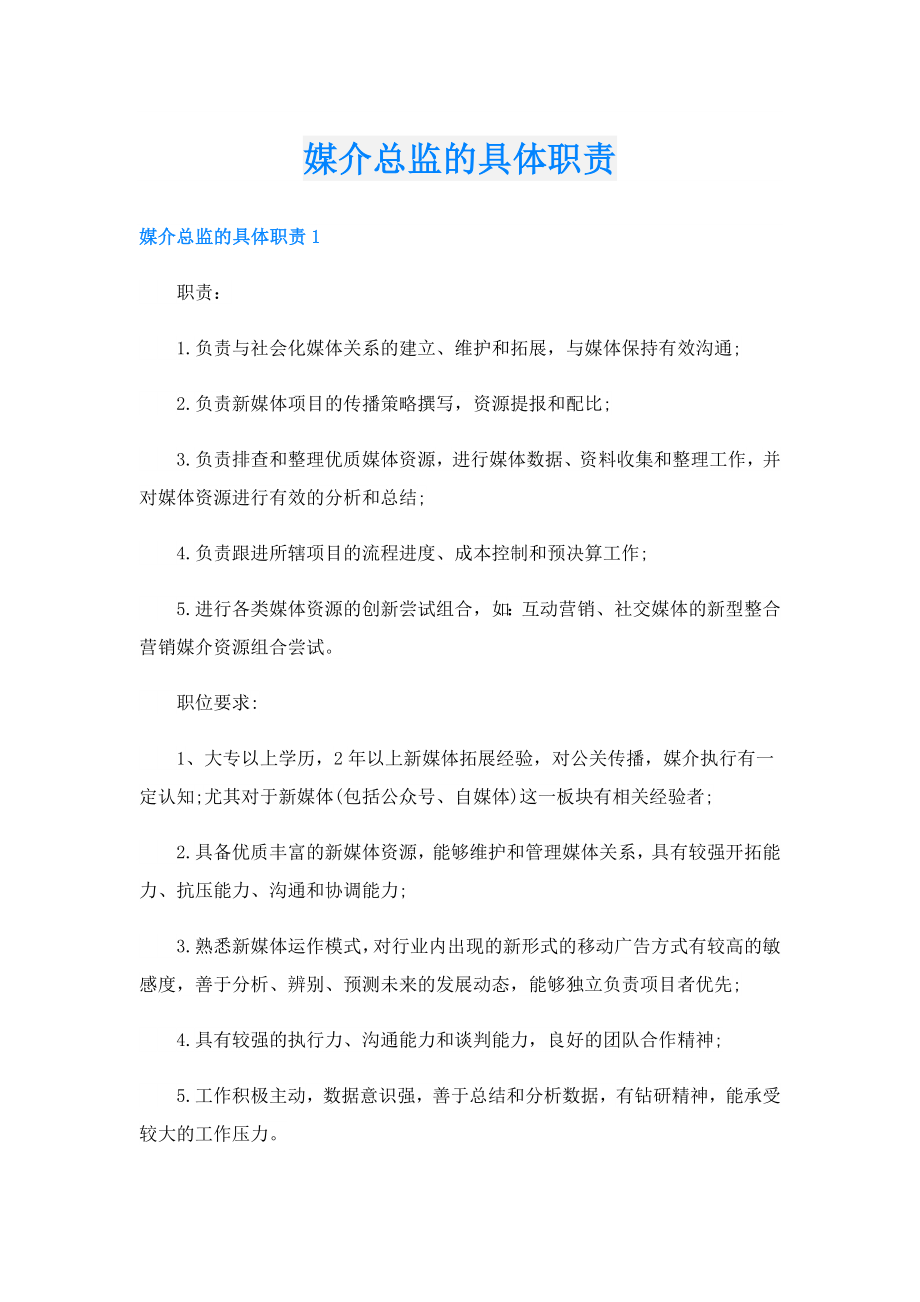 媒介总监的具体职责.doc_第1页