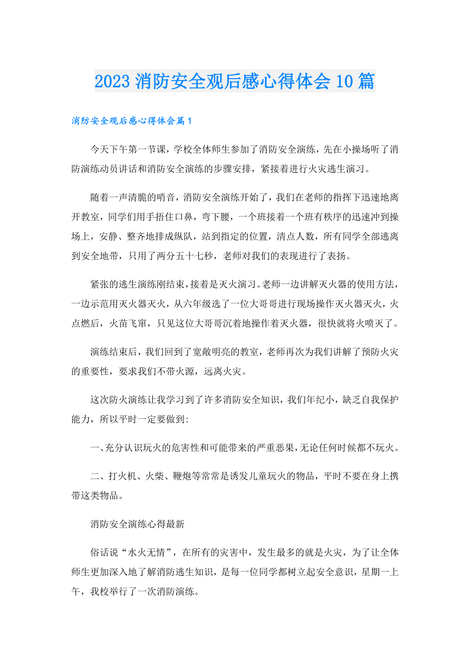 2023消防安全观后感心得体会10篇.doc_第1页