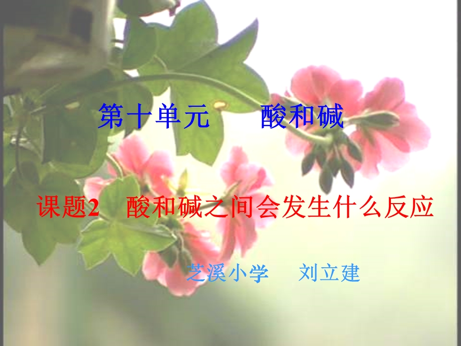 酸和碱之间会发生什么反应2.ppt_第1页