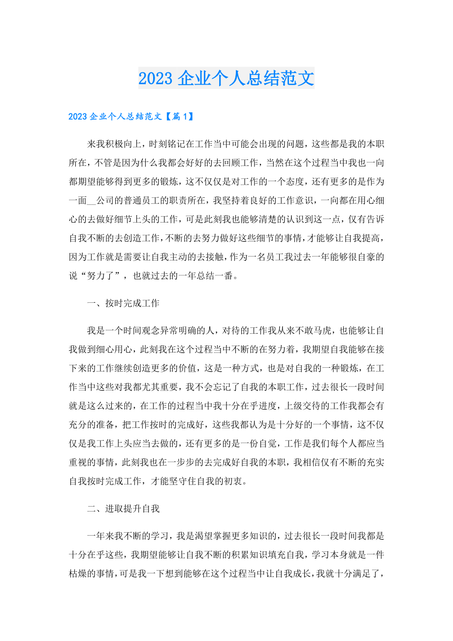 2023企业个人总结范文.doc_第1页