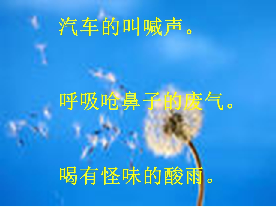 《蒲公英的梦》课件（张艳奇）.ppt_第3页