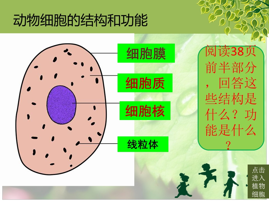 细胞的基本结构和功能.ppt_第3页