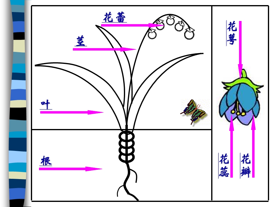 小学美术茂密的花.ppt_第2页