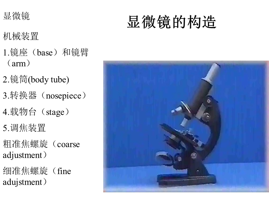 显微镜的使用.ppt_第1页