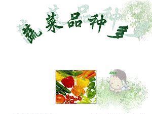 幼儿园课件-认识蔬菜 (2).ppt