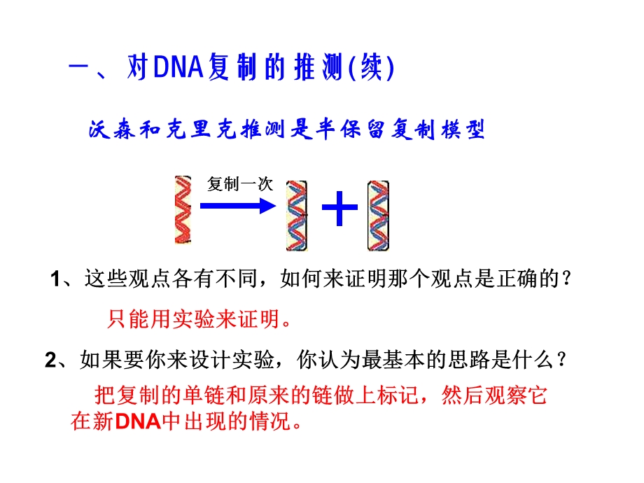 《DNA的复制》.ppt_第3页