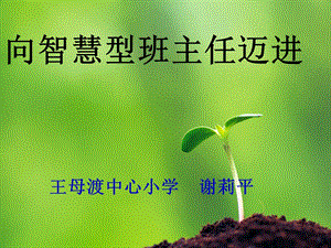 做智慧的班主任,提升职业幸福度.ppt