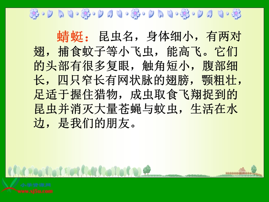 《放飞蜻蜓》课件.ppt_第3页