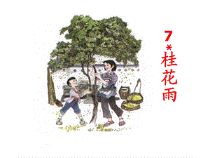 《桂花雨》教学课件3.ppt