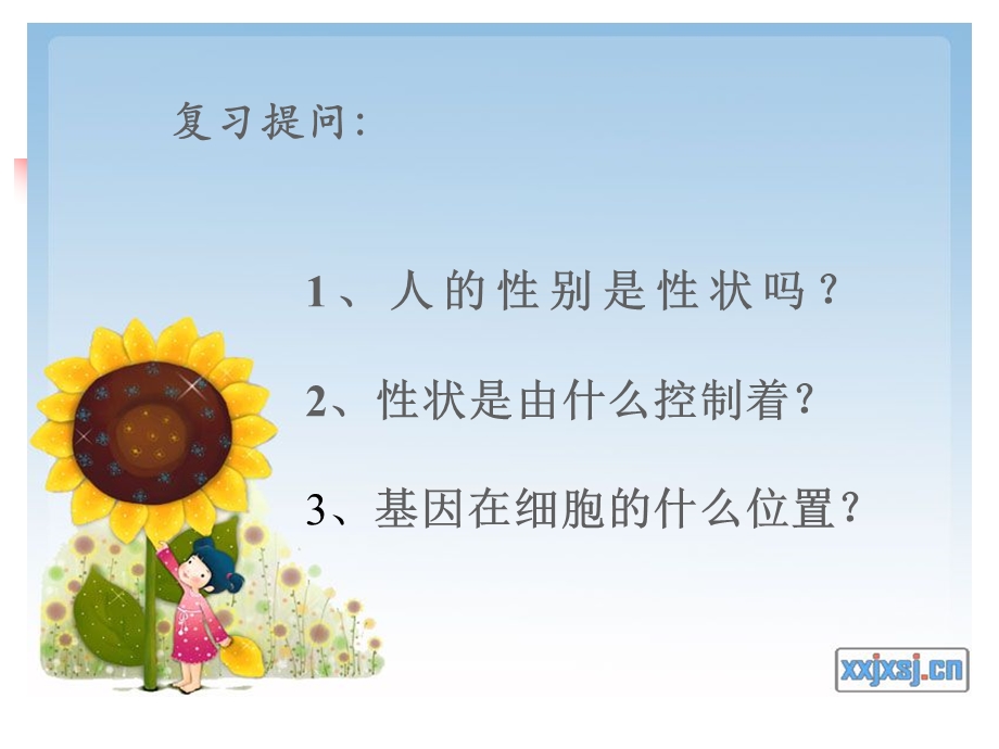 人的性别遗传课件 (2).ppt_第3页