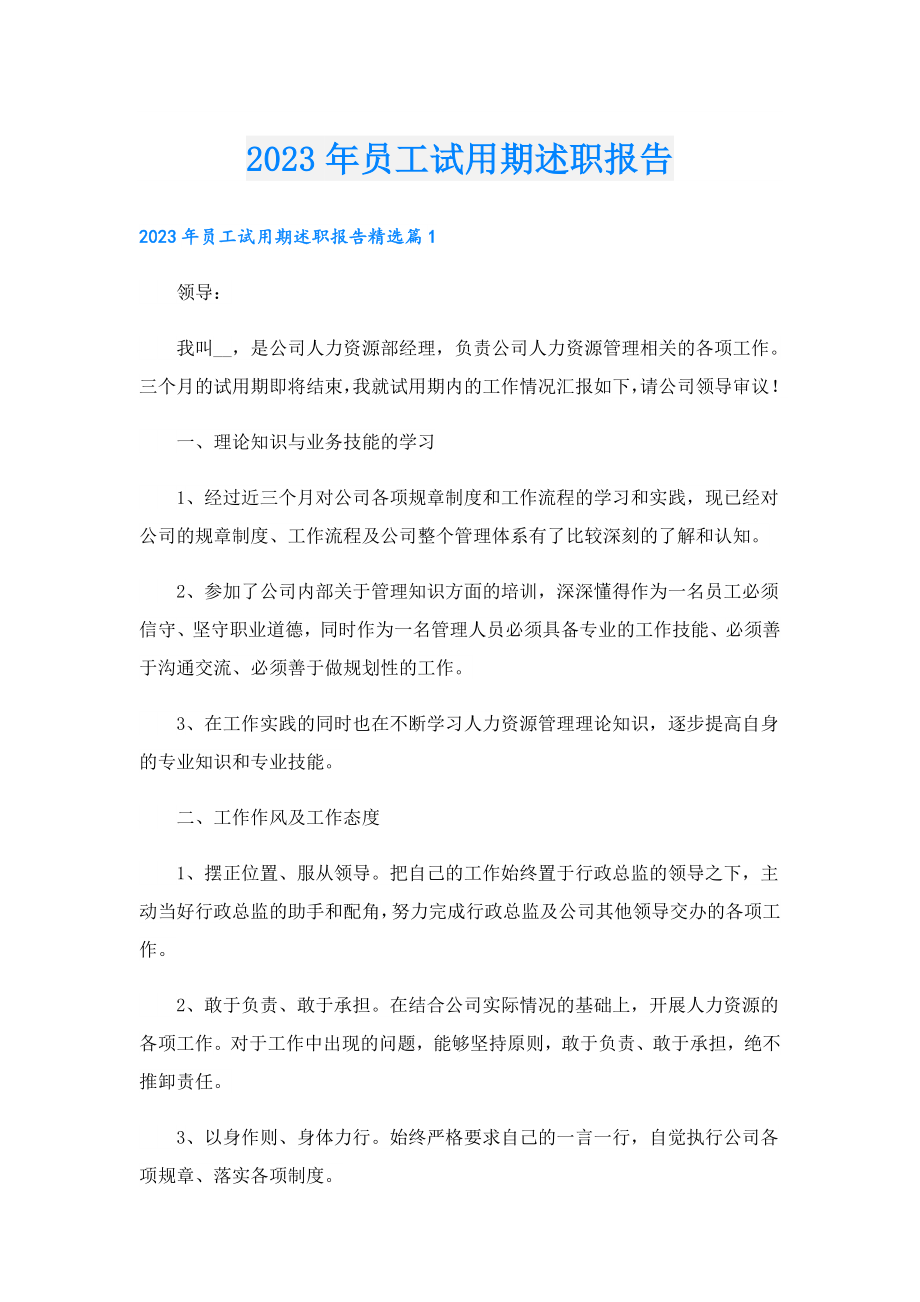 2023员工试用期述职报告.doc_第1页