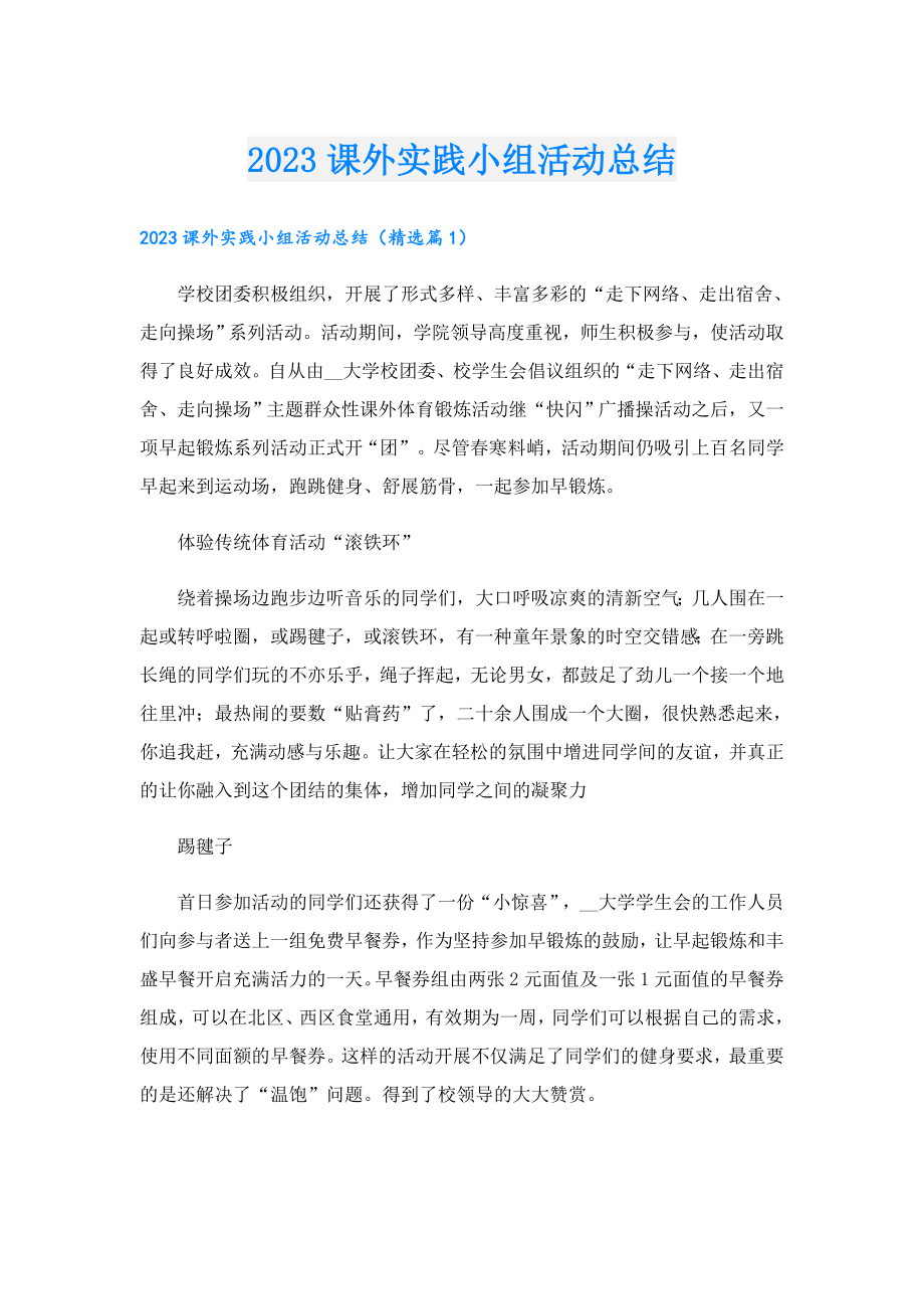 2023课外实践小组活动总结.doc_第1页