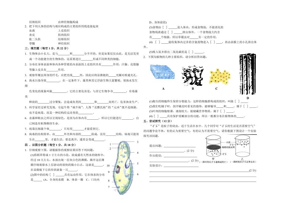 初中生物七年级上册单元检测三 (2).doc_第2页