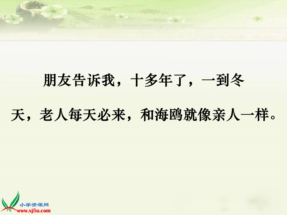 （人教新课标）六年级语文上册课件老人与海鸥.ppt_第2页