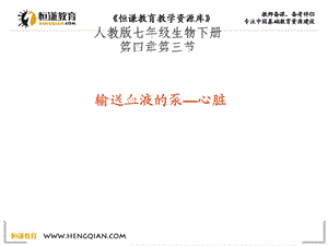 七年级生物下册第四章第三节《输送血液的泵—心脏》课件.ppt