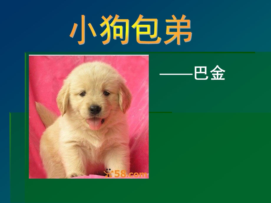 小狗包弟教学课件.ppt_第1页