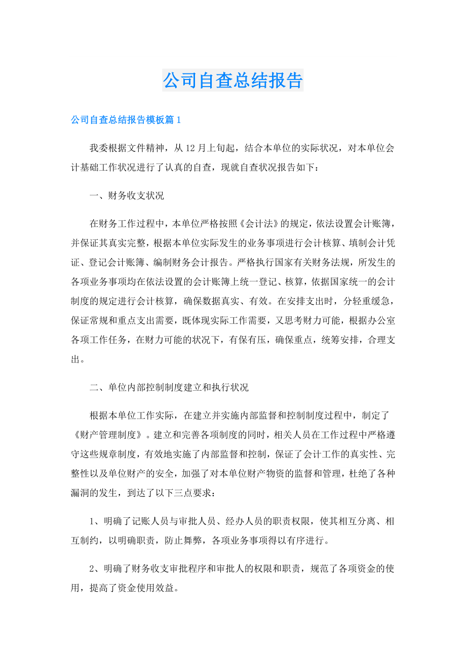 公司自查总结报告.doc_第1页