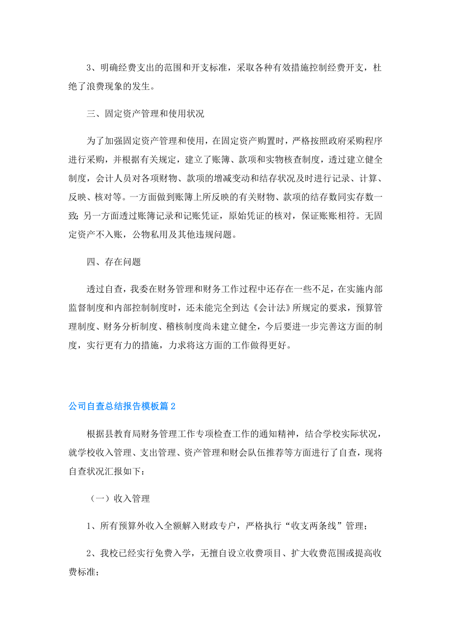 公司自查总结报告.doc_第2页