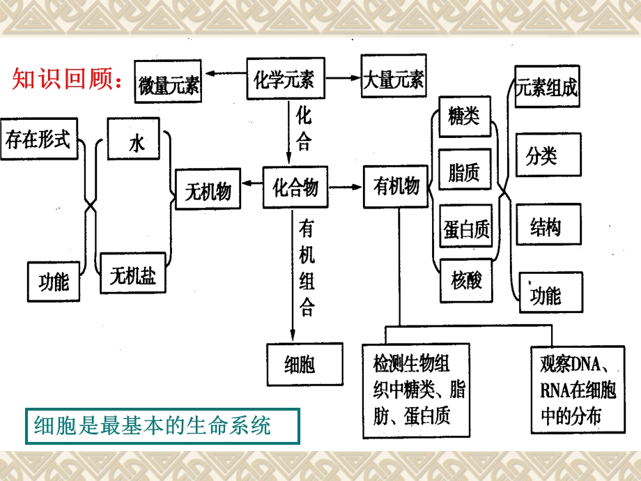 细胞膜--系统的边界.ppt_第2页