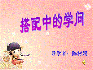 __搭配中的学问.ppt