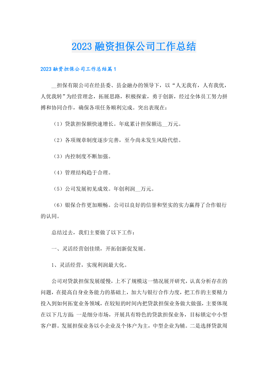 2023融资担保公司工作总结.doc_第1页