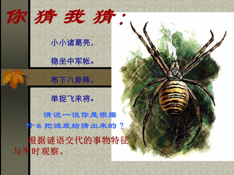 《绿色蝈蝈》课件 (2).ppt_第2页