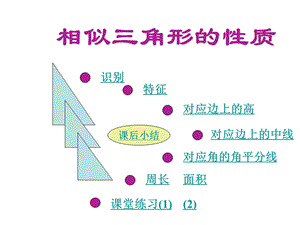 相似三角形的性质.ppt