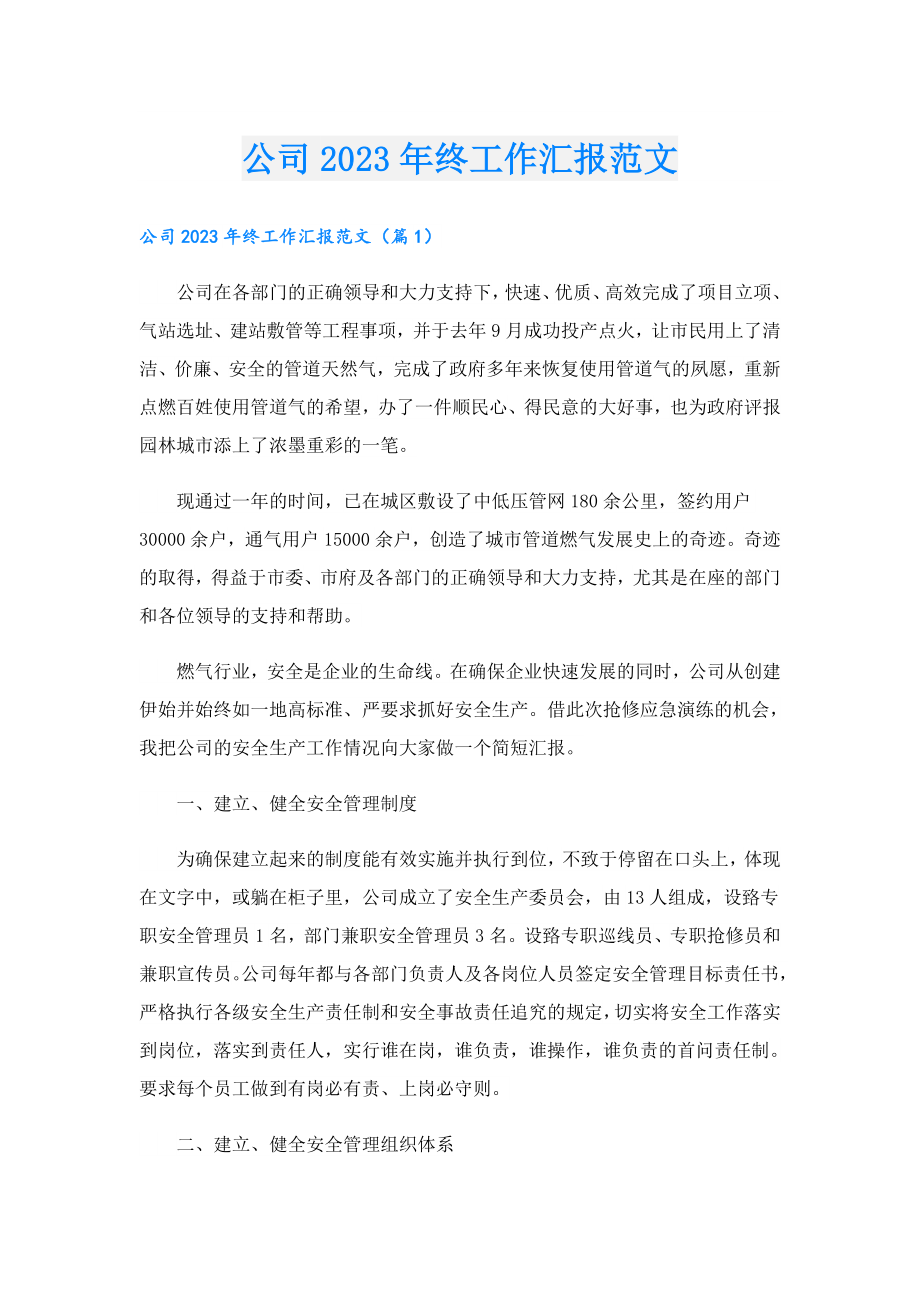 公司2023终工作汇报范文.doc_第1页