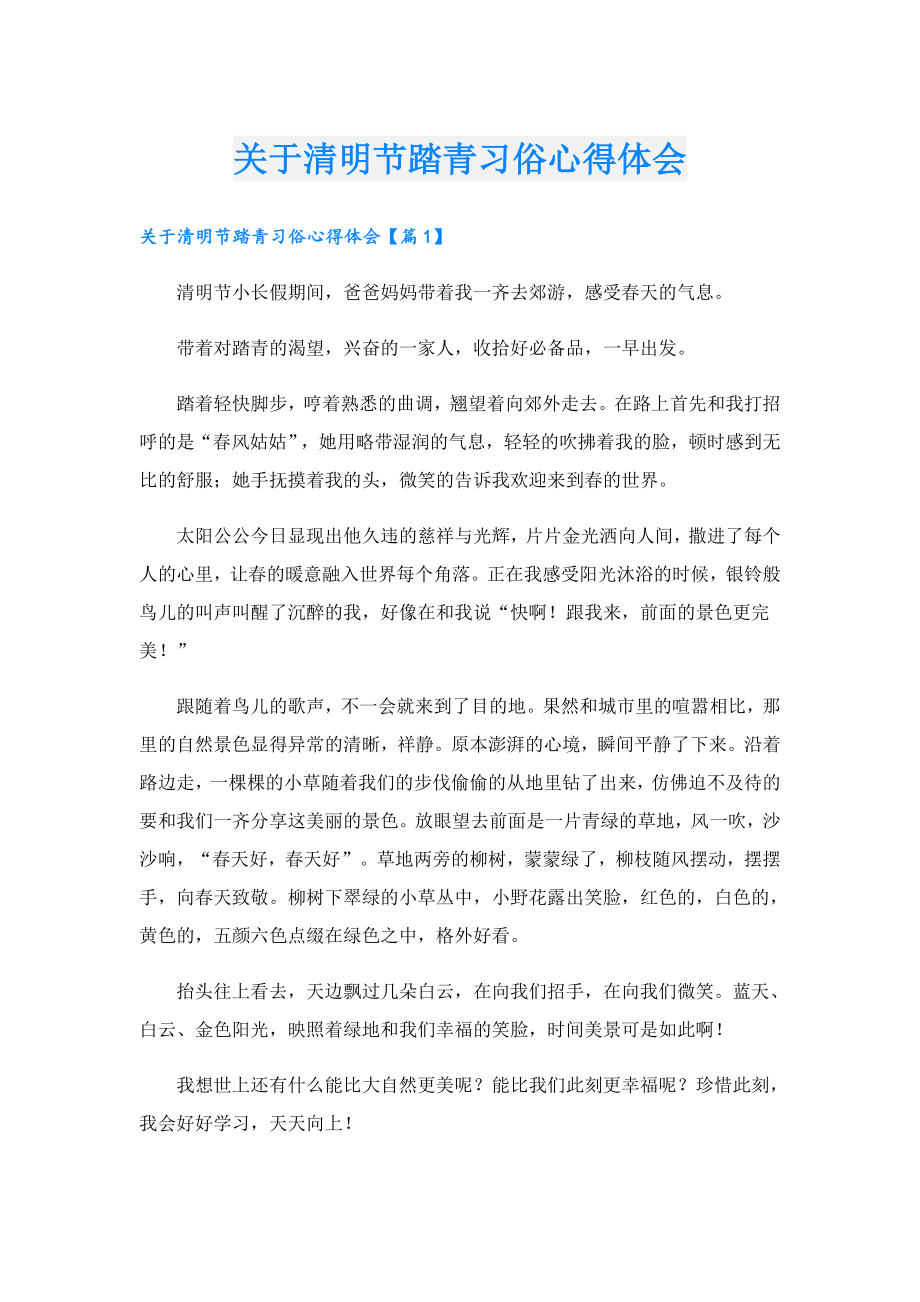 关于清明节踏青习俗心得体会.doc_第1页