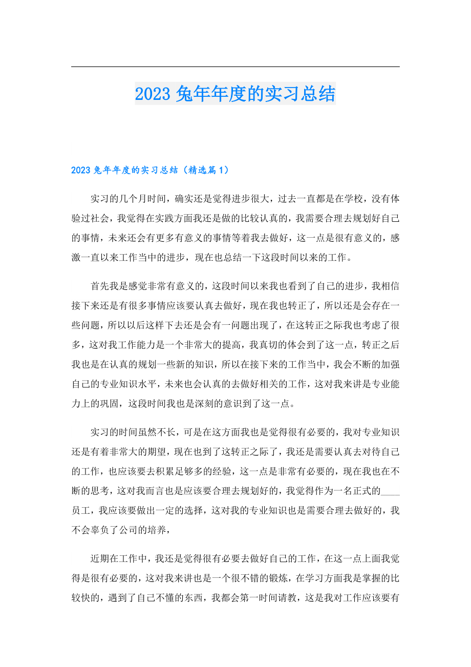 2023兔的实习总结.doc_第1页