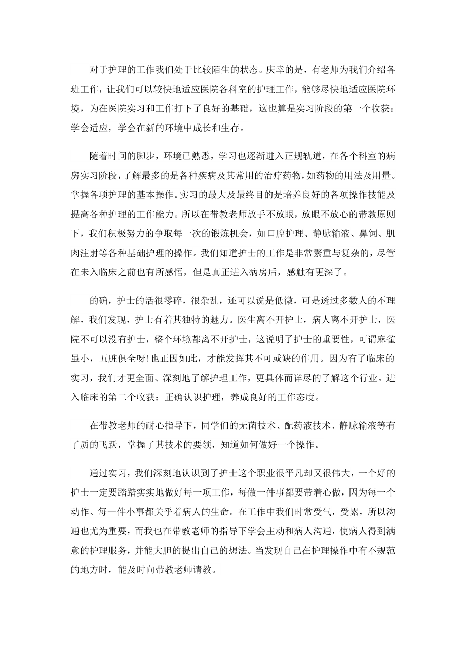 2023兔的实习总结.doc_第3页