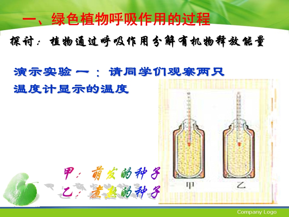 绿色植物呼吸作用.ppt_第3页