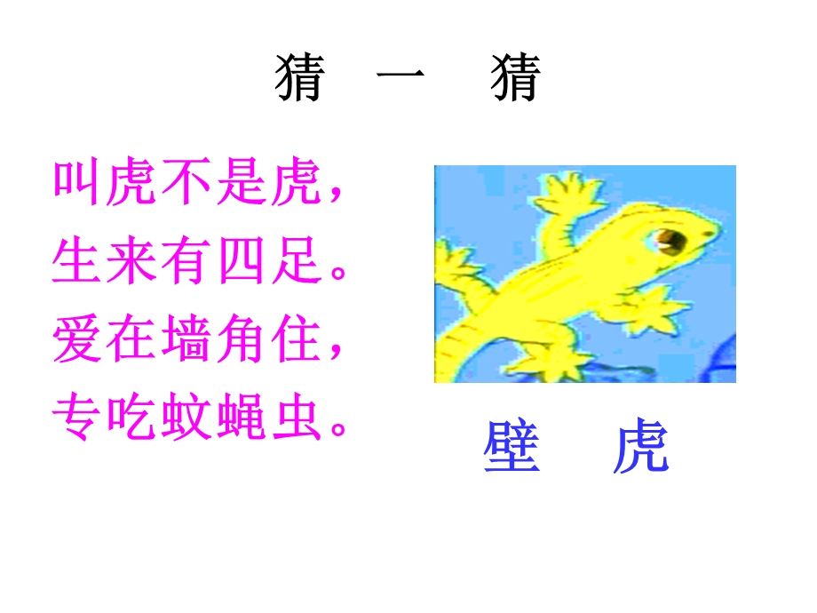 小壁虎借尾巴 (6).ppt_第2页