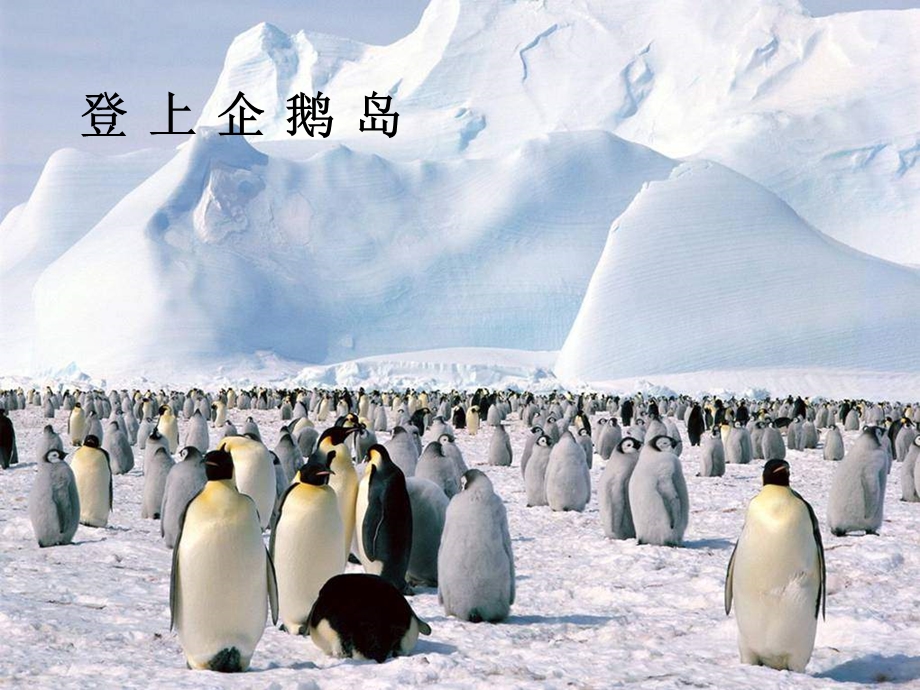 三下《登上企鹅岛》课件2.ppt_第1页